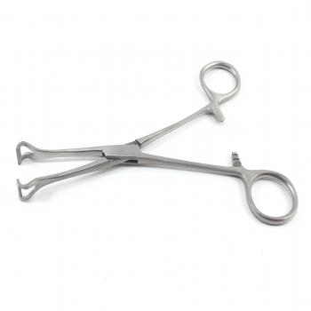 Babcock Forceps 6 and 8 inch